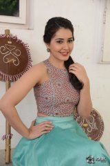 Raashi Khanna Interview About Bengal Tiger